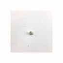 Perno de fijación para filtro secadora Candy 40006911