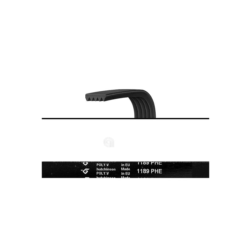ELECTROLUX UNIVERSAL - Correa de transmisión lavadora - AST-00126648