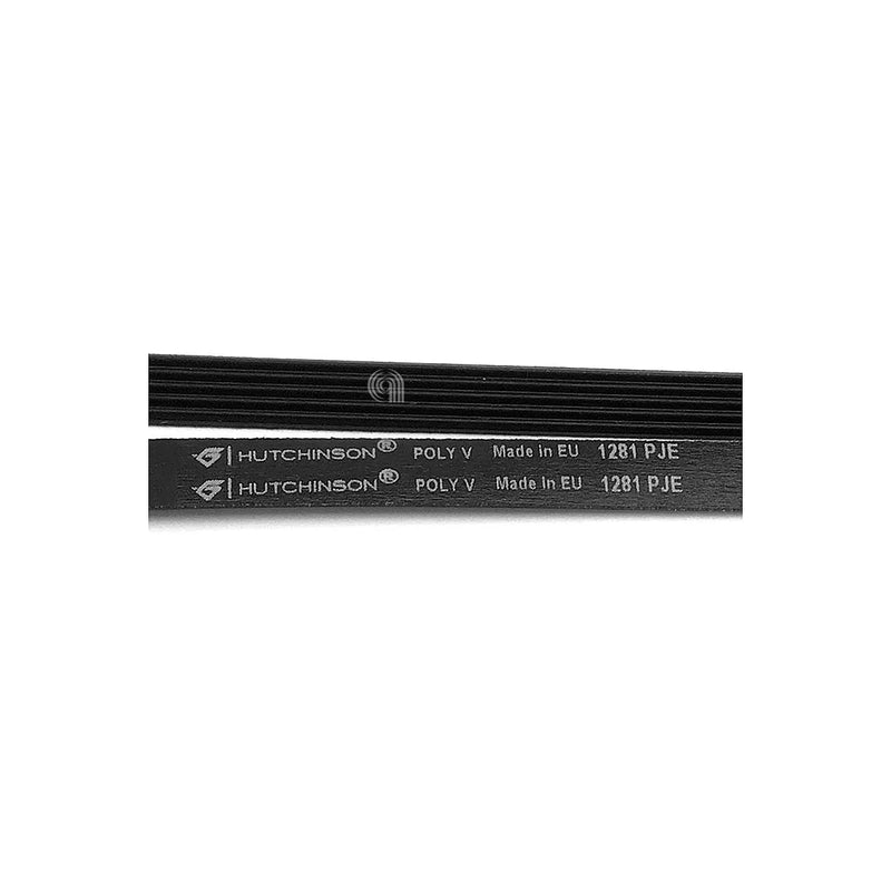 ELECTROLUX, MIDEA - Correa de lavadora 1281 J5 EL - 4055123915