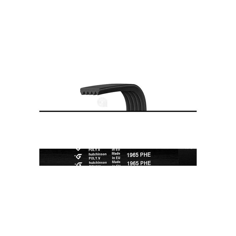UNIVERSAL - Correa Poly-V 1965 H8 Lavadora - AST-00126357