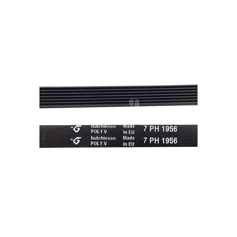 Correa H7 1956 Poly-V para secadora Gorenje original