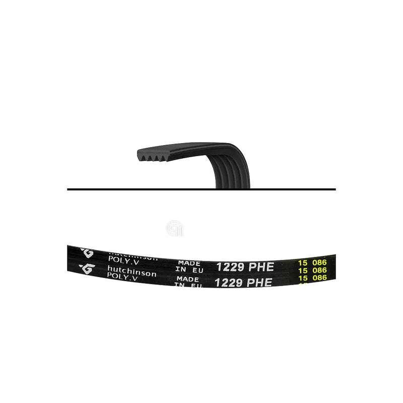 WHIRLPOOL, BAUKNECHT, POLAR, IGNIS - Correa de lavadora 1229 H6 - 480111101149