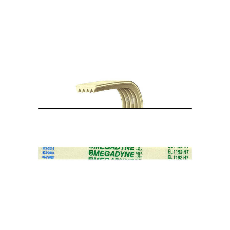 SILTAL ARISTON INDESIT MERLONI - Correa de transmisión lavadora - C00063428