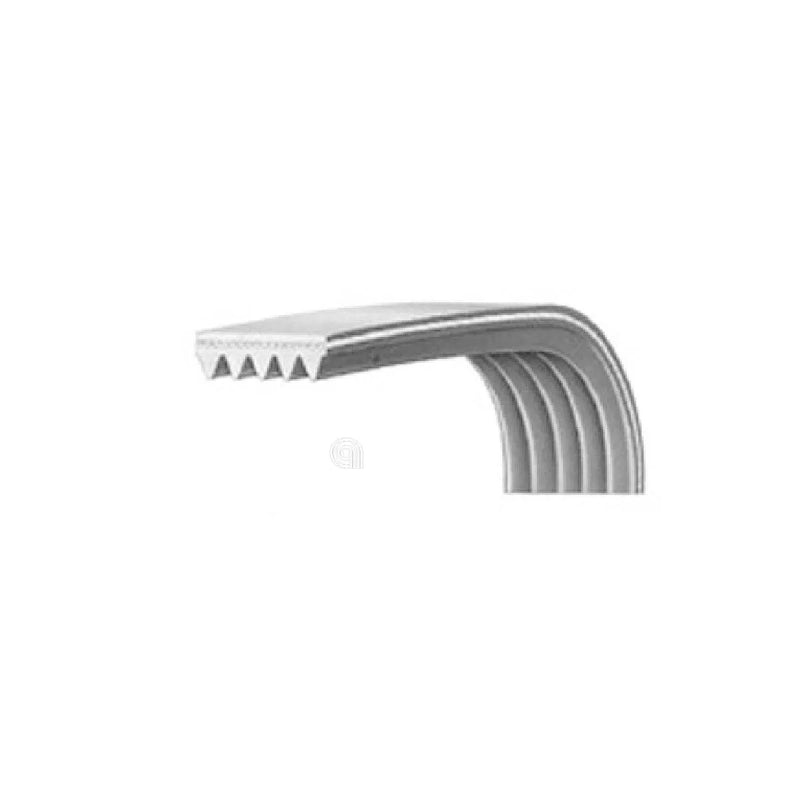 VESTEL - Correa Elástica H8 1228 Poly-V Lavadora - 42006395