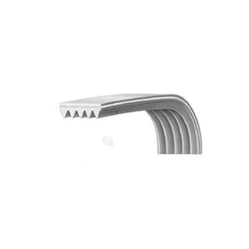 correa poly-v h6 1227 para lavadora bompani y vestel original