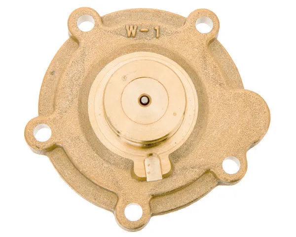 FAGOR cuerpo agua calentador | 810007165