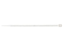 Abrazadera Nylon 2,5x100mm (100unid) | 11101919