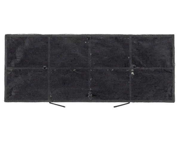 FILTRO CARBÓN CAMPANA 200x80mm 61801238