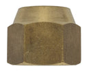 Tuerca frigorífica sae 3/4'' h | 03TF075
