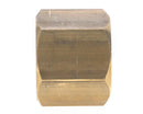 Tapón sae 3/4' 'h
