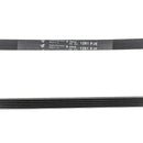 Correa ranurada para lavadora Brandt-Vedette 1281 5PJE AS0033204