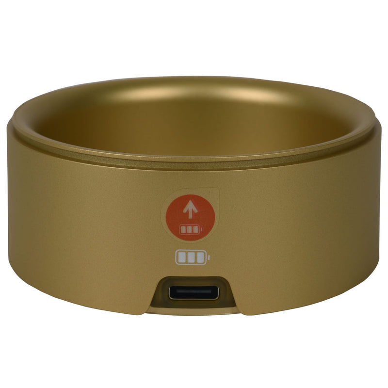 Base de cargador Rowenta SS-1810002004